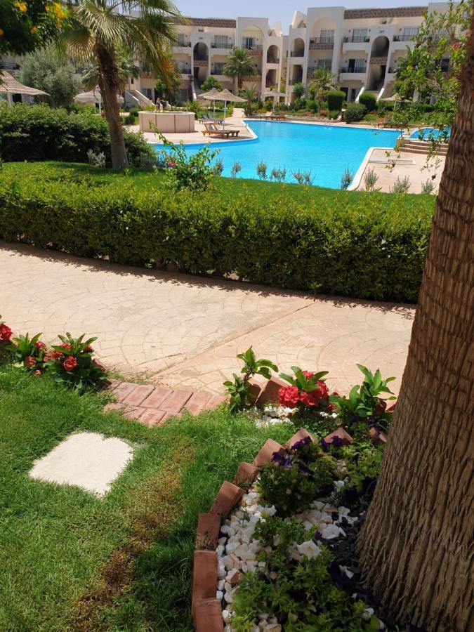 שארם א-שייח Mystic Collection Of Luxury Apartments מראה חיצוני תמונה
